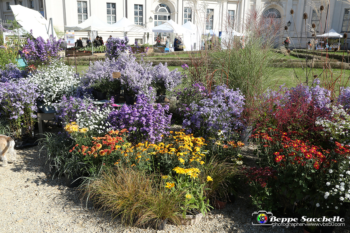 VBS_2441 - FloReal 2021 alla Palazzina di Caccia di Stupinigi.jpg